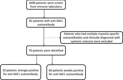 Clinical features of anti-SAE1 antibody-positive myositis and interstitial lung disease: a multicenter, retrospective study in Taiwan